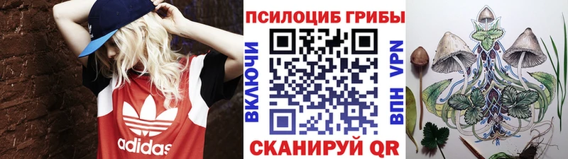 Псилоцибиновые грибы Magic Shrooms  это клад  Тобольск 